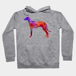 Hungarian Greyhound in watercolor Hoodie